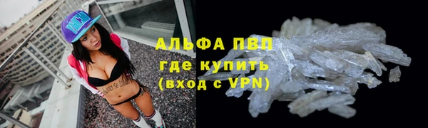 мяу мяу кристалл Богданович