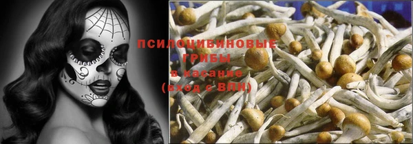 винт Богородицк