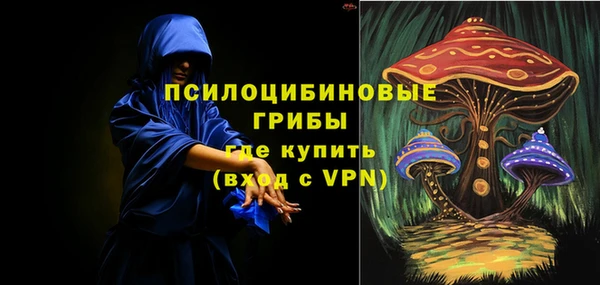 винт Богородицк
