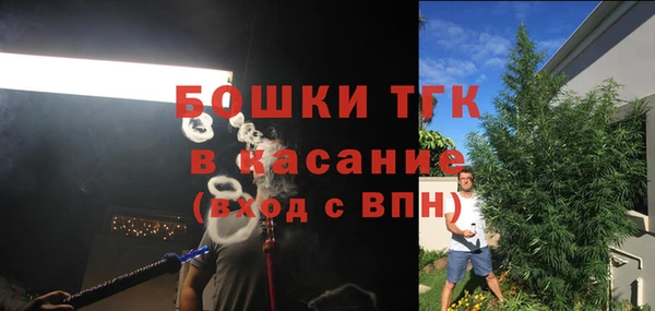 мяу мяу кристалл Богданович